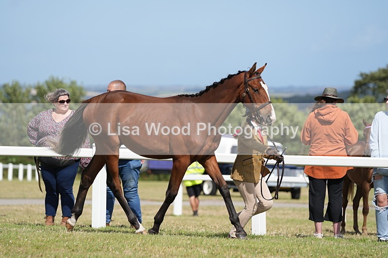 DSC07583 - Class 62: Child Handler