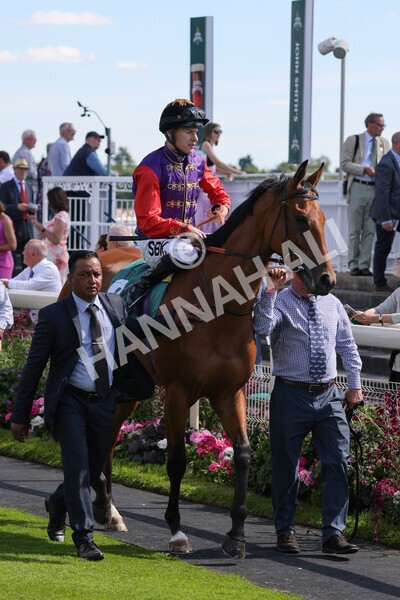 yr09072022r5-16 - Race 5 4.05pm John Smith's Cup