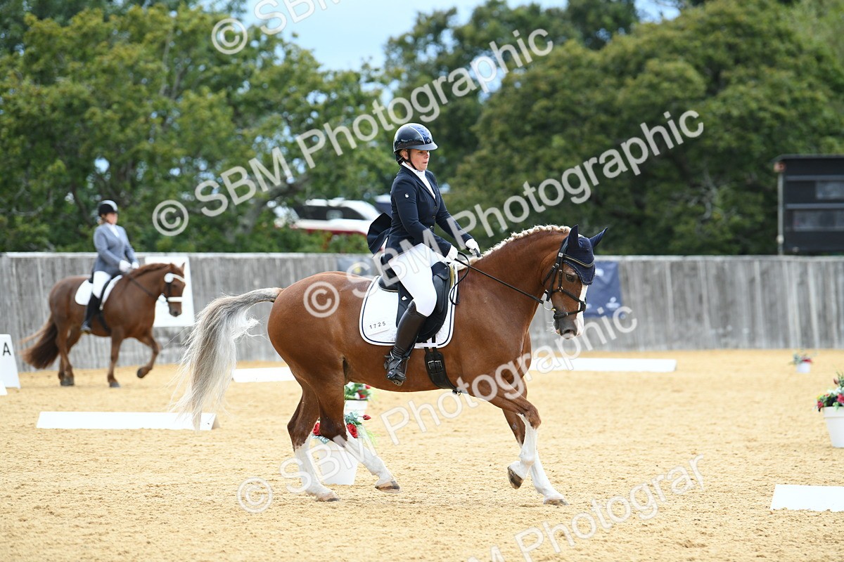 SBM_09934 - D15 Small Tour Championship Novice 24