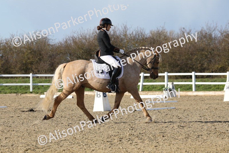 20260314-5800 - DR 7 - Elementary 1