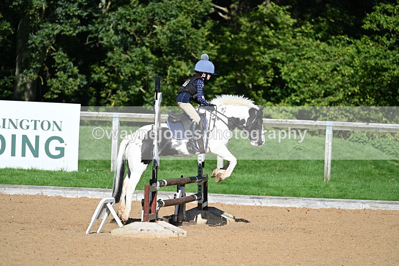 WJ7_1272 - Time 10:39 to 11:18