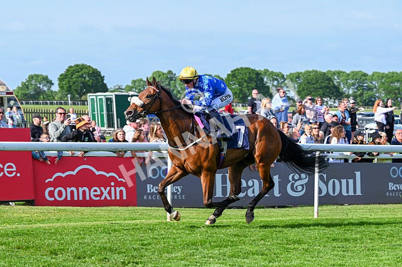 270526-Race 7-King Of The Jungle-3722