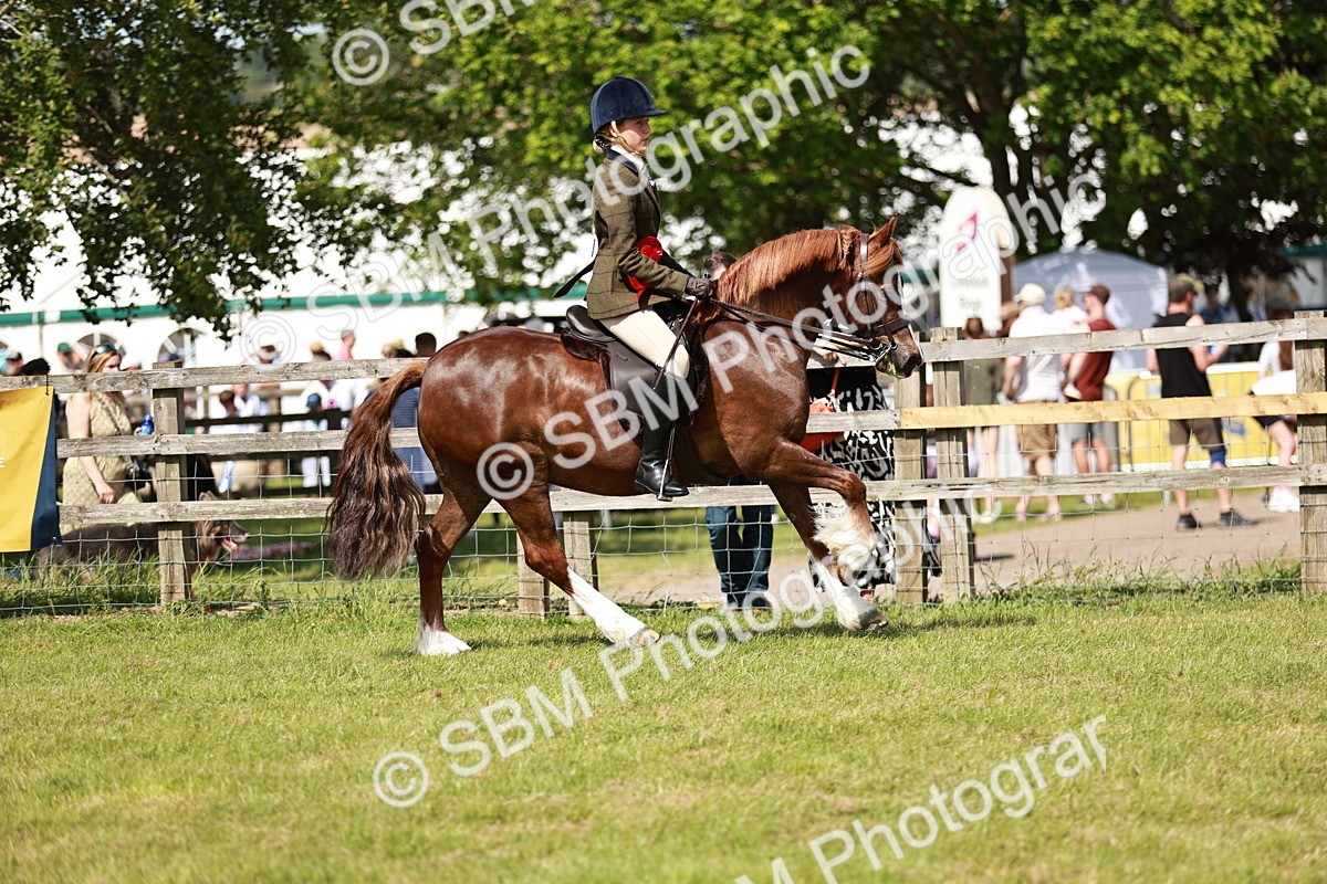 SBM_08488 - Class 61-62 - TSR  M&M Ridden Amateur of the Year