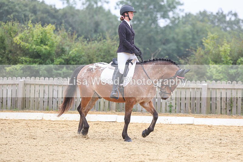 3E7A5387 - Class 2: Intro 4 2024 section B