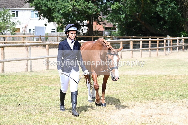 WJ7_1775 - Class 4a Prettiest Mare 14.2hh and over hand