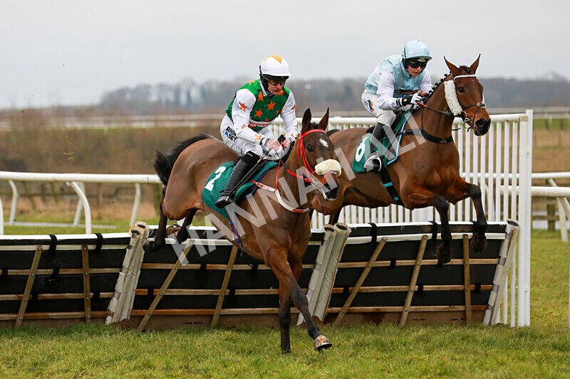 100225-Race 1-Tigerbythetail-5529 - Race 1