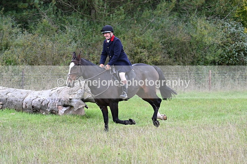 WJ7_3590 - Camera 1 Line 1