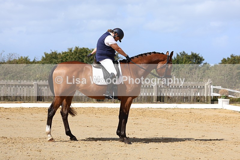 3E7A3693 - Class 8: Novice 6 Section A Championship