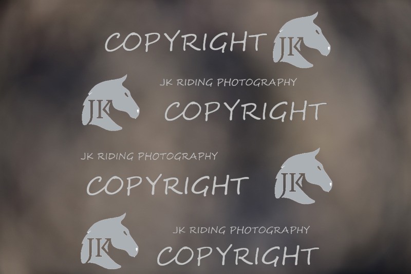 SBP_0552 - 10am - 11am