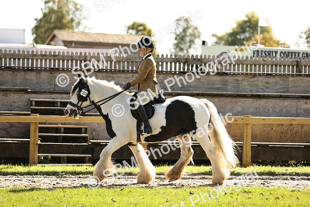 SBM_19094 - S3 - TSR Ridden Pony Showing