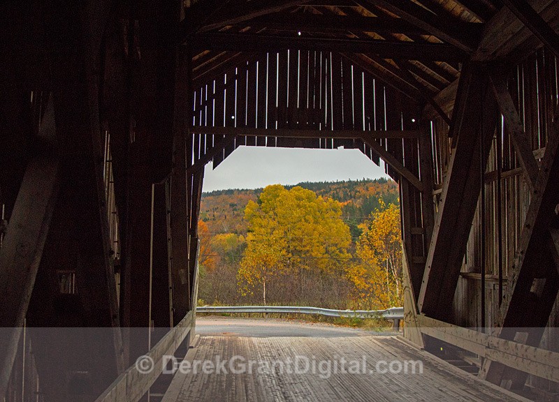 Autumn Foliage Smithtown New Brunswick Canada - Autumn Foliage