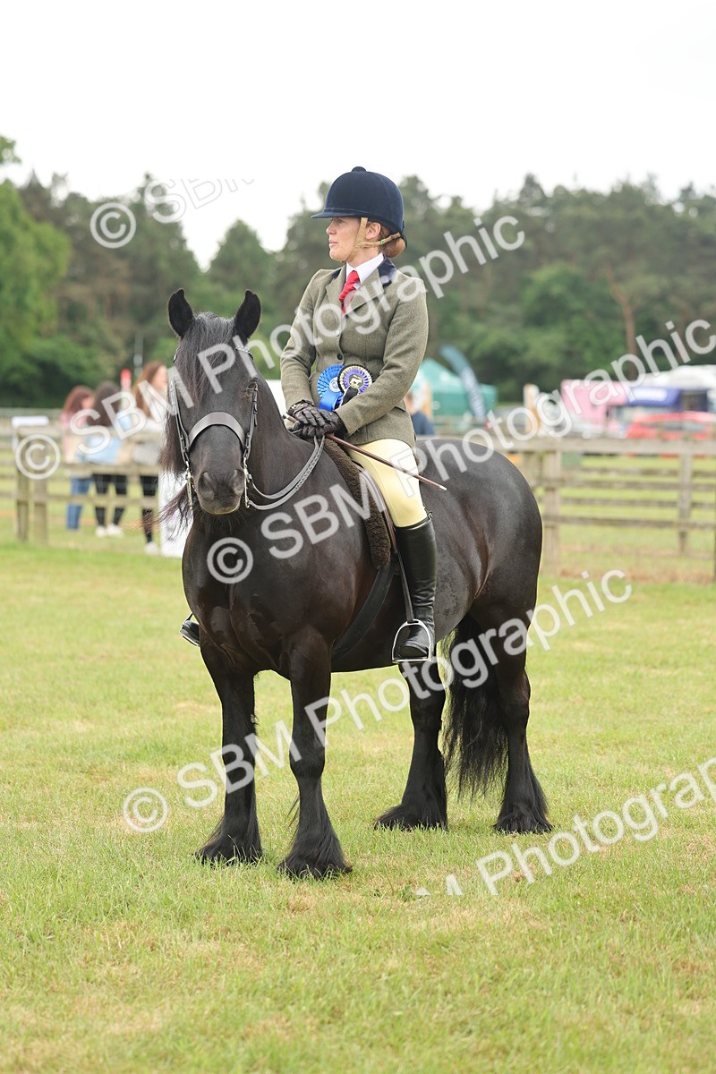 SBM_09043 - Class 78-80 - Ridden M&M Non Welsh Ponies