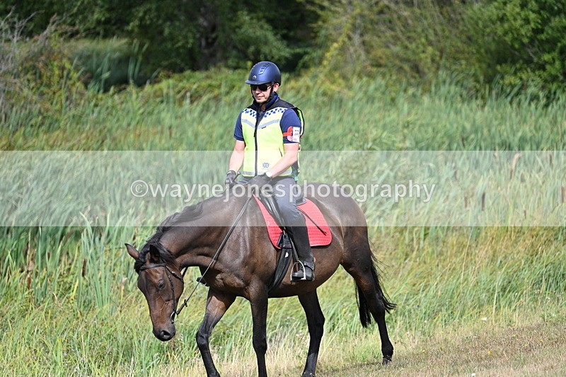 WJ7_5236 - Time 11:22 to 11:41