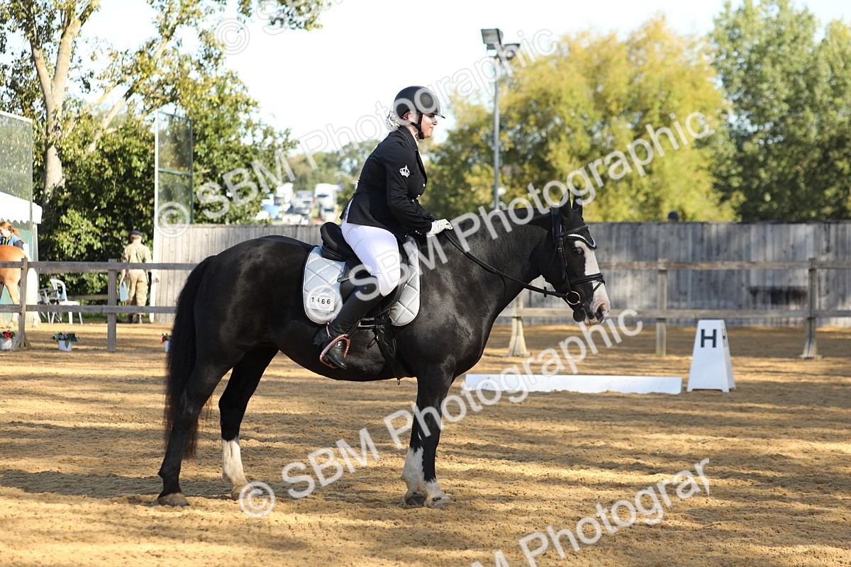 SBM_37929 - D21 - Junior Championship - Intro A