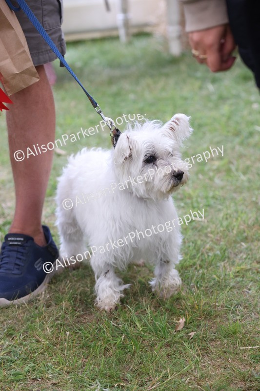 20250607-0451 - Best in Show