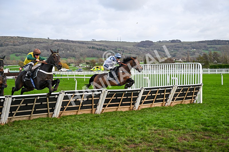161125-Race 1-Bespoke Tailor-5606 - Race 1