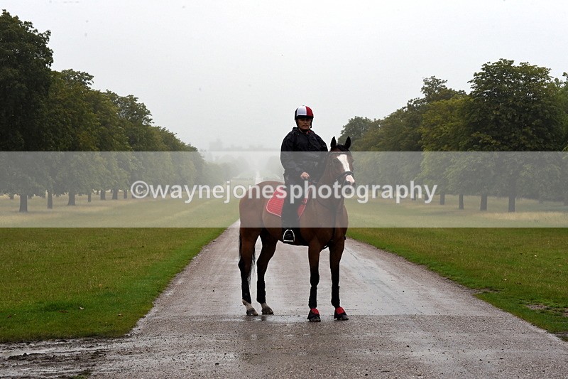 TT3_8399 - Time at Crossing 10:16 to 11:38