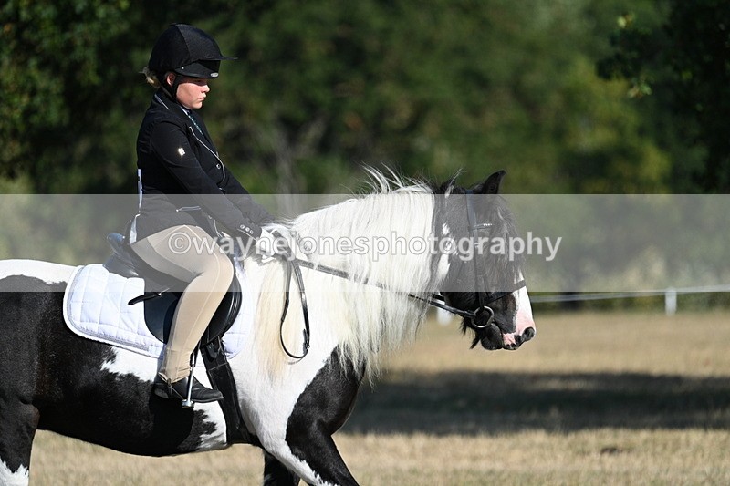 WJ7_8856 - Time 09:00 to 09:24