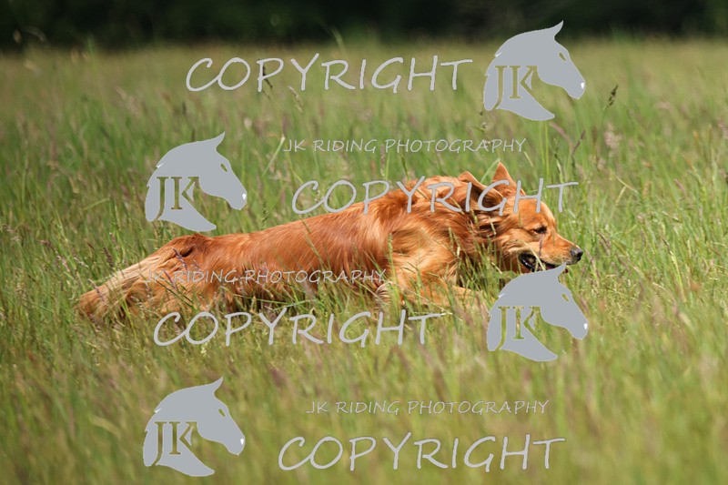 2R6A8264 - 5 Chris