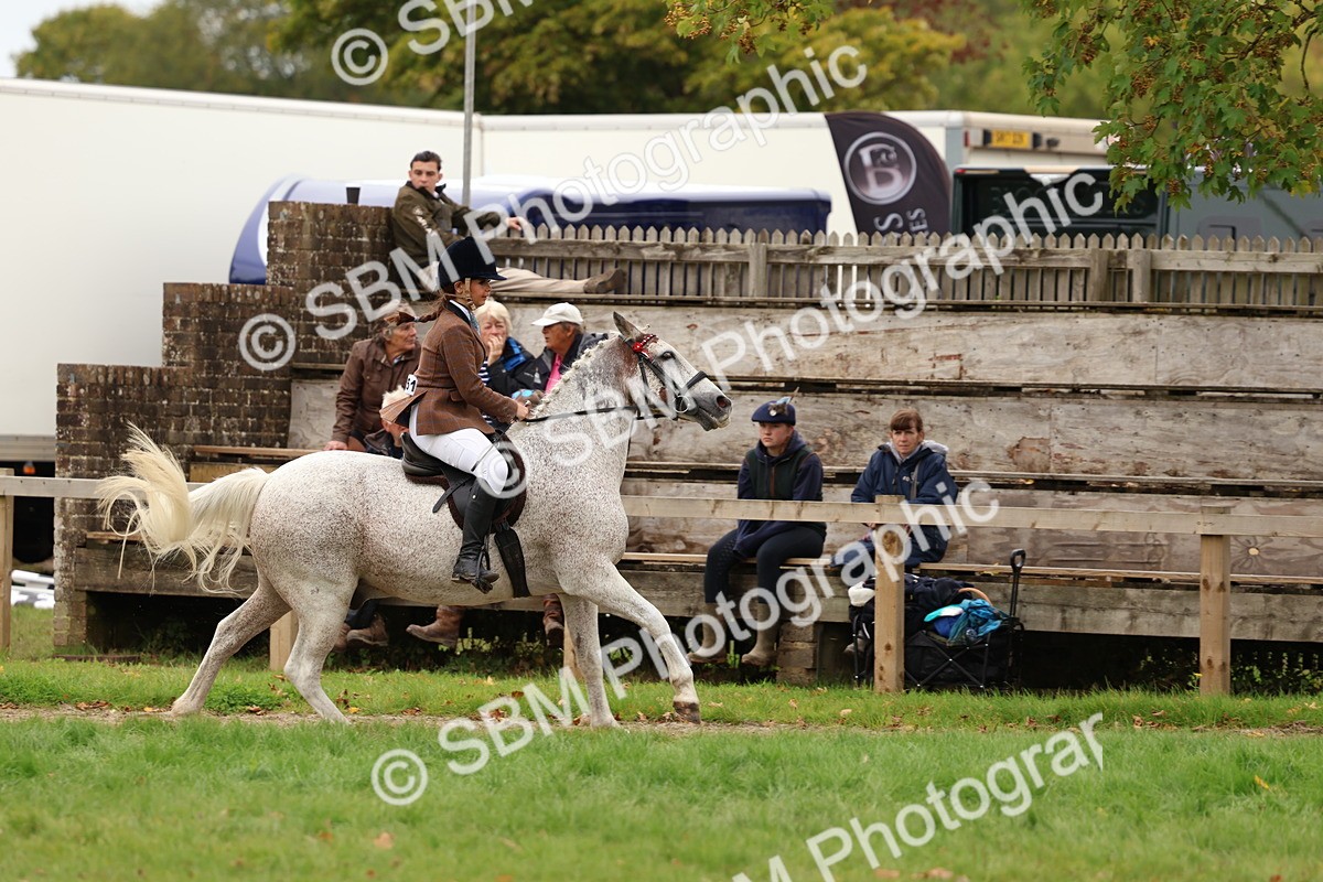 SBM_64540 - S58 - Coloured Pony Ridden