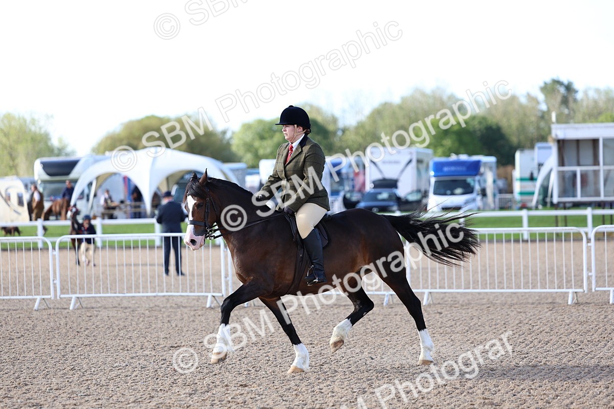 SBM_08928 - Class 302 - Ridden M&M - Large Breeds