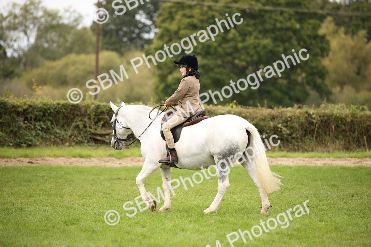 SBM_72372 - S67 - Show Cob Ridden