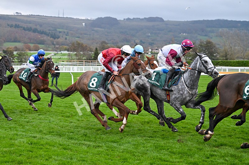 161124-Race 6-Wonderful Eagle-1437 - Race 6