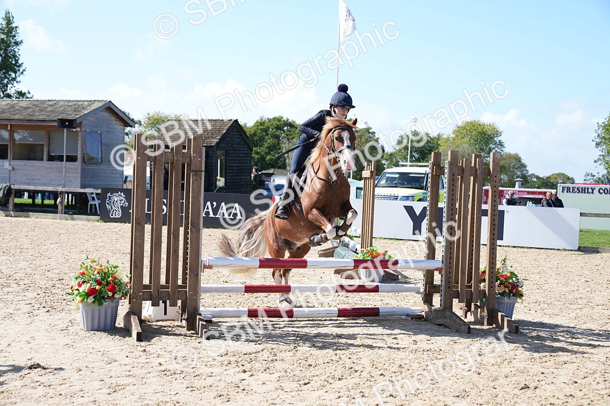 SBM_04980 - J56 - Clear Round 70cm