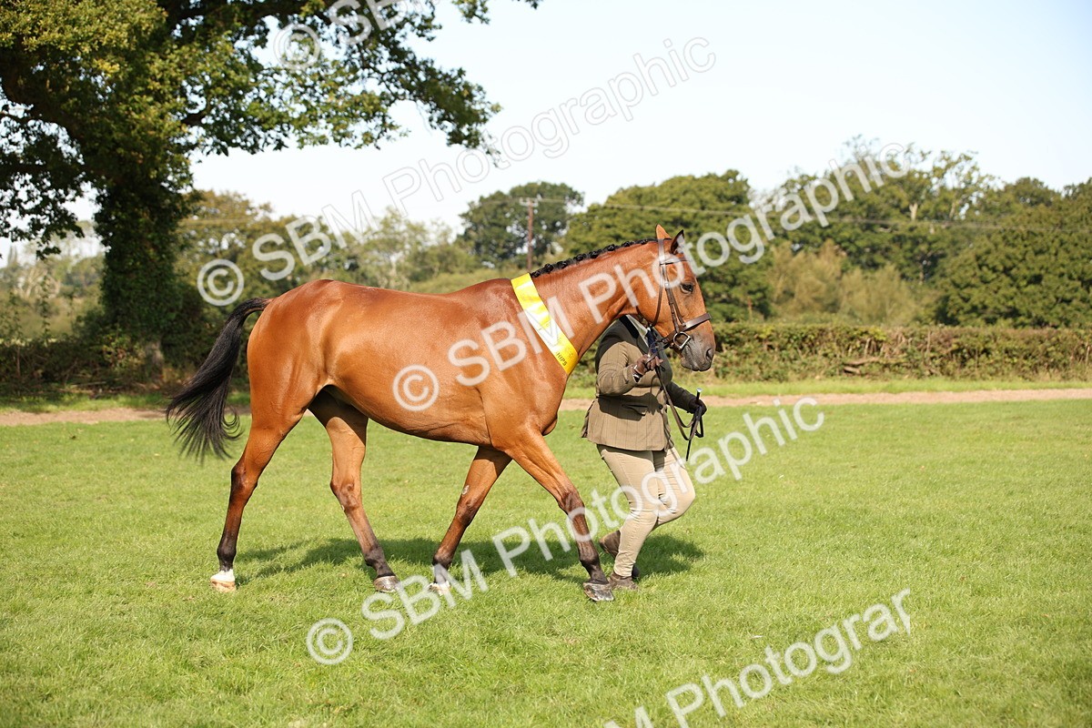 SBM_60144 - S53 - Hunter In Hand