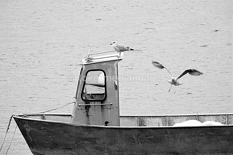 DSC07890 - SEPT 2020 STAYCATION