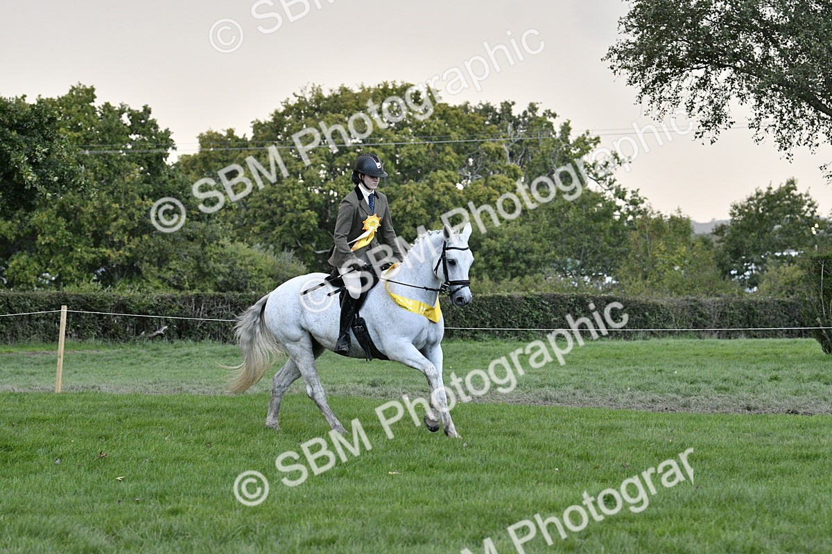 SBM_53308 - S14 - Riding Club Horse