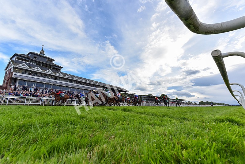 160624-Race 7-Glory Hyde-2 - Race 7