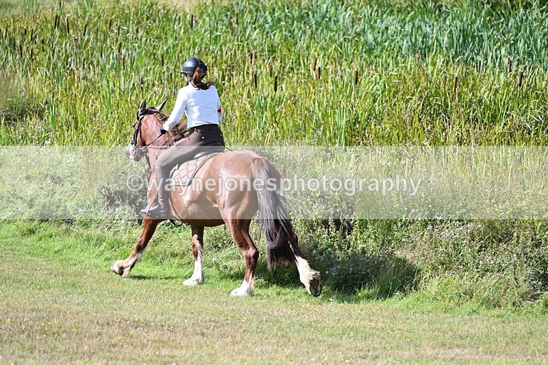 WJ7_3683 - Time 10:33 to 10:53