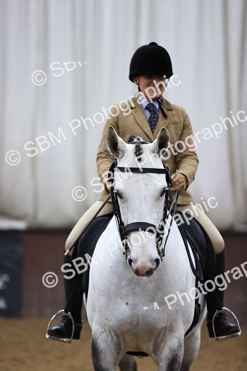 SBM_6387 - Class 45-42 - Ridden Irish Breeds-Ridden Cob