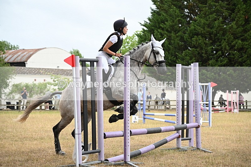 WJ6_0279 - Class 13 Novice Jumping 60cm