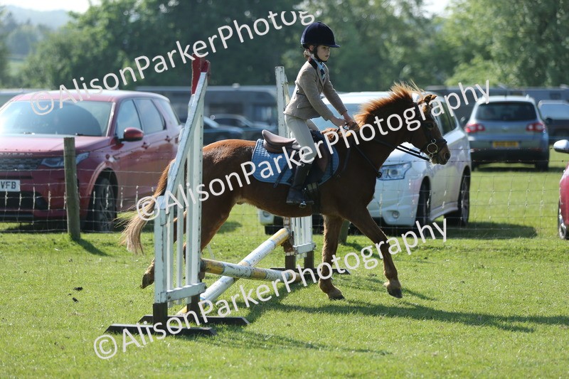 20250427-1055 - Class 1 - Mini Jumping Lead Rein or Assisted