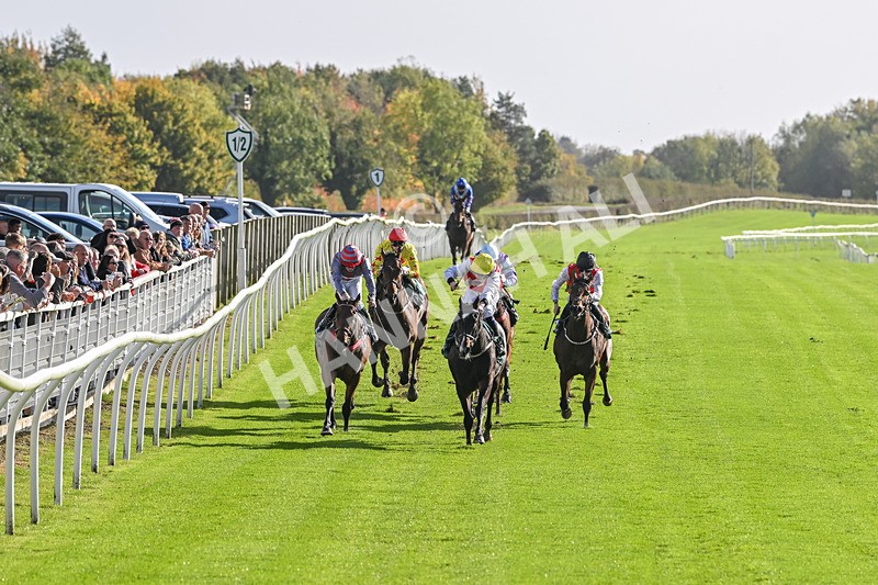 191024-Race 1-Obligatory-3798 - Race 1