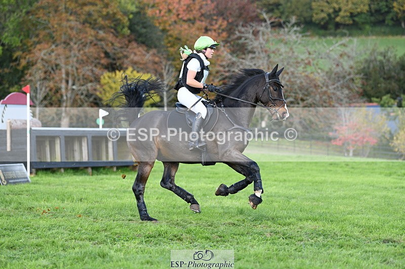 251024A-131024-11920 - B-148-Tarka.Abraham