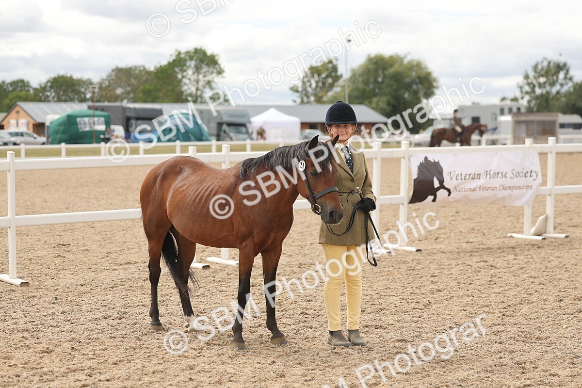 SBM_17007 - Class 312 - IH Competition Horse-Pony