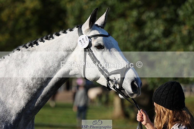 241027-084520-14799 - 384-Kerri.Mcnicol-CALGARY