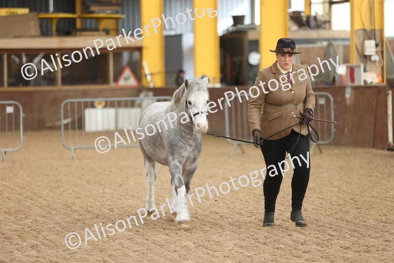 20251109-0640 - Class 22 - Geldings 4 Years and over