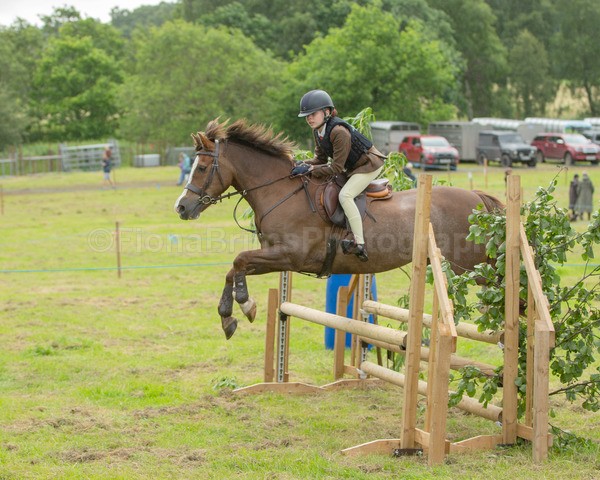 Dunblane show-516 - Dunblane and Doune Show Ring 1