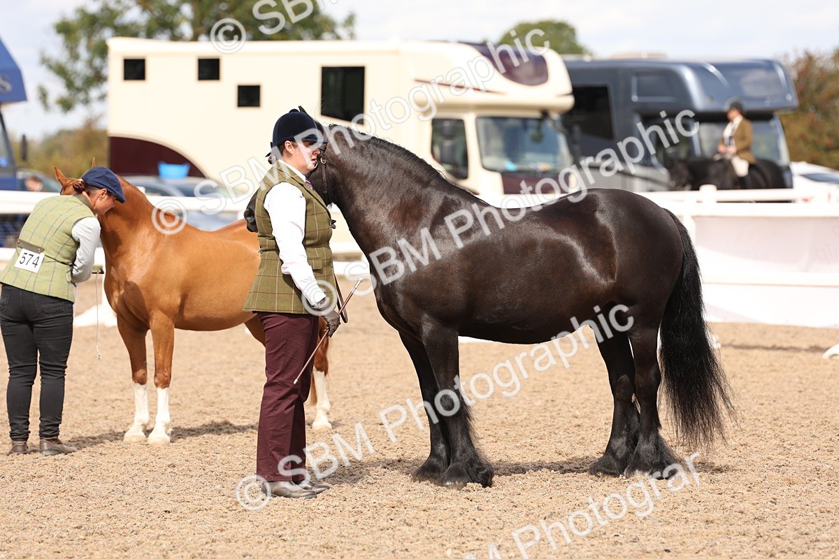 SBM_15095 - Class 209 - IH Veteran Pony