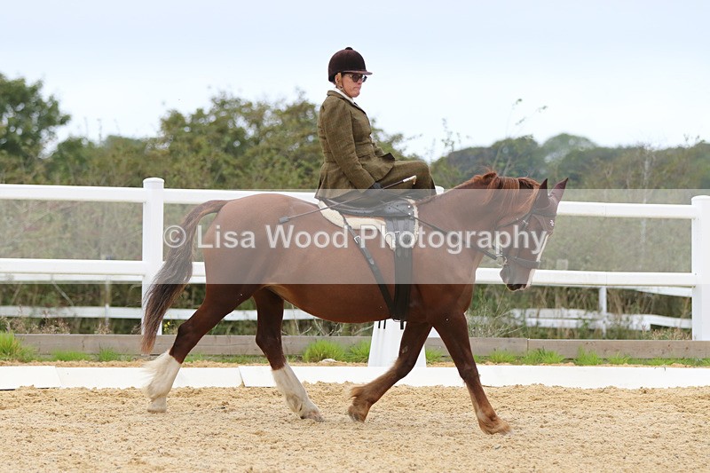 0I1A7053 - Class 9: Prelim Freestyle to Music