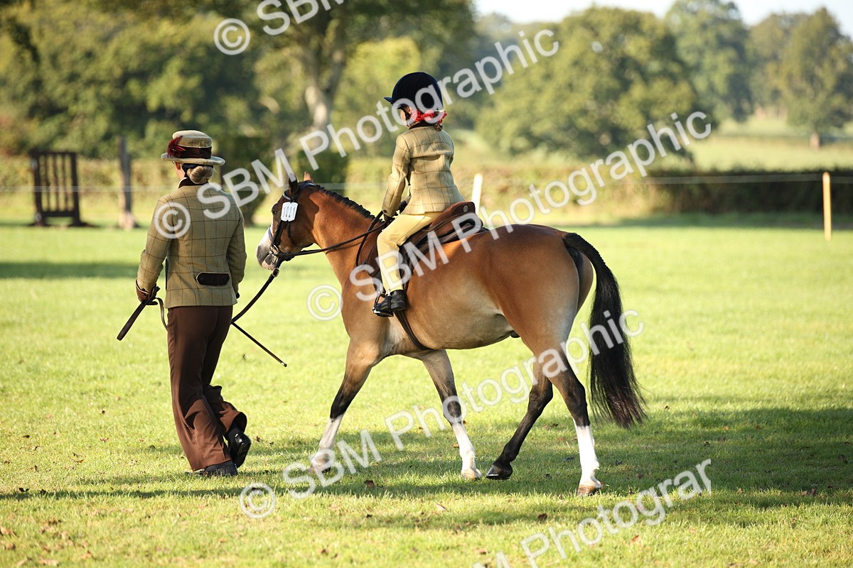SBM_34210 - S9 - Lead Rein Equitation