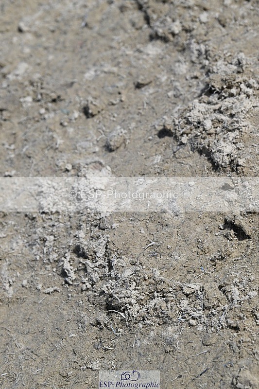 250823A-122734-28836 - WC Round 2 70+ 12.44 to 13.10