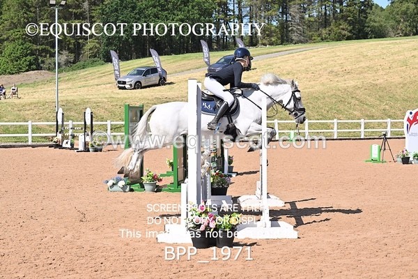 BPP_1971 - THU CLASS 4 Pony Newcomers/1m Open