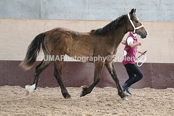 SIAL9390 - Indoor Classes