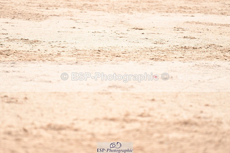 250717-103533-03071 - Cls 29, 6 Year Old