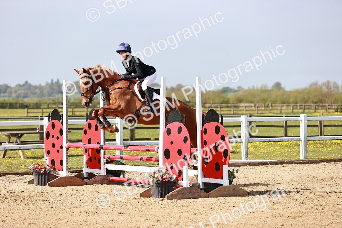  - Class 21 - Senior British Novice - 90cm